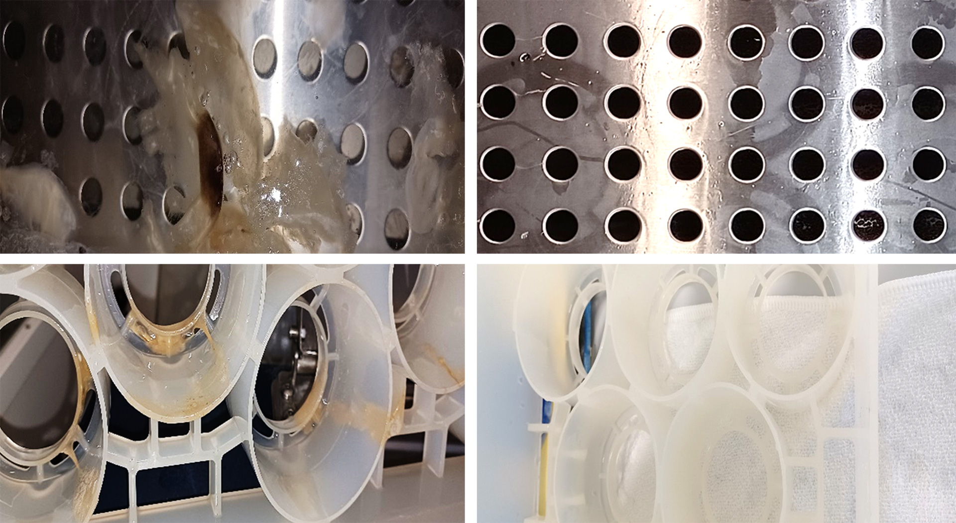 Biofilm Vor Und Nach Der Reinigung